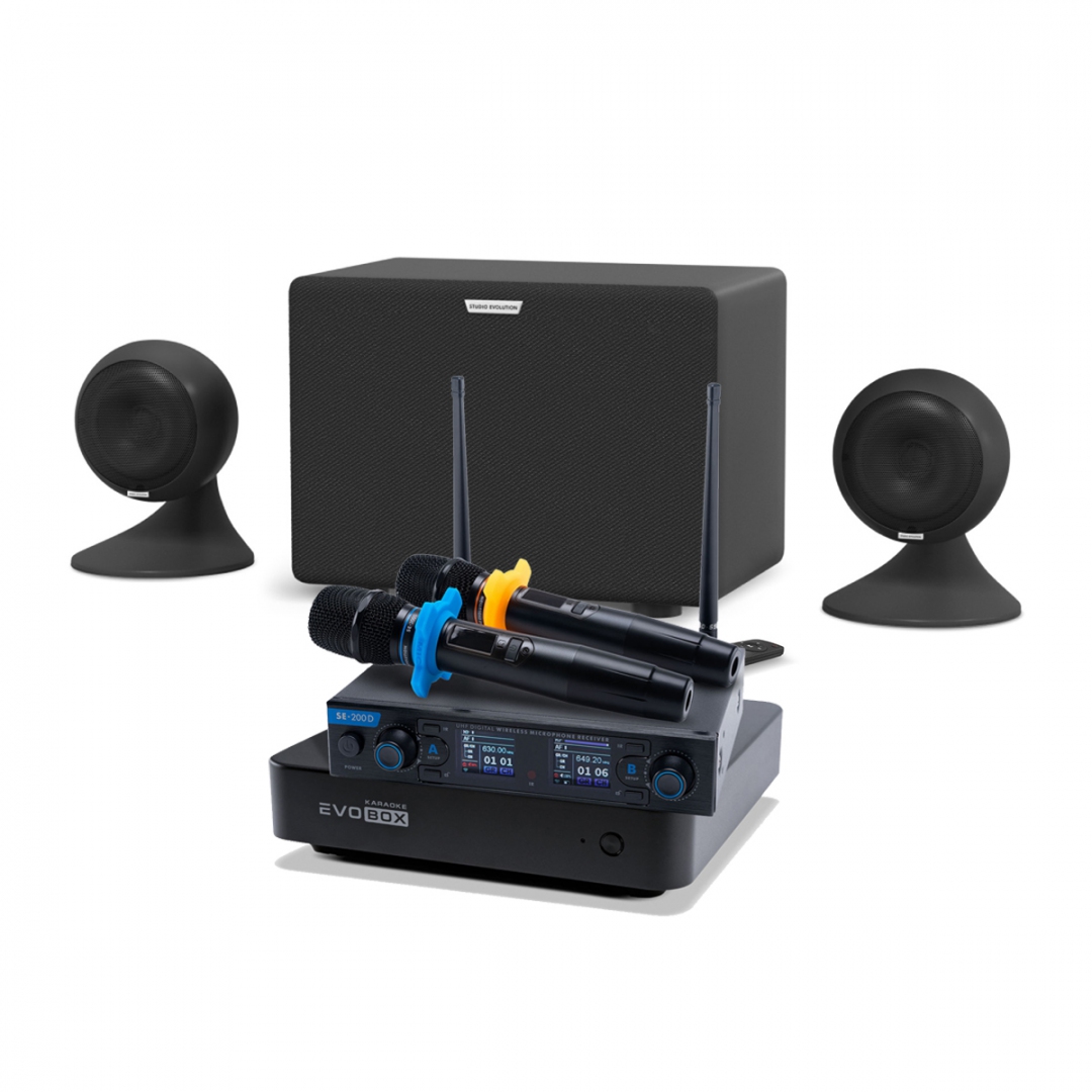 караоке-комплект EVOBOX + EvoSound Sphere 2.1 в Нижневартовске