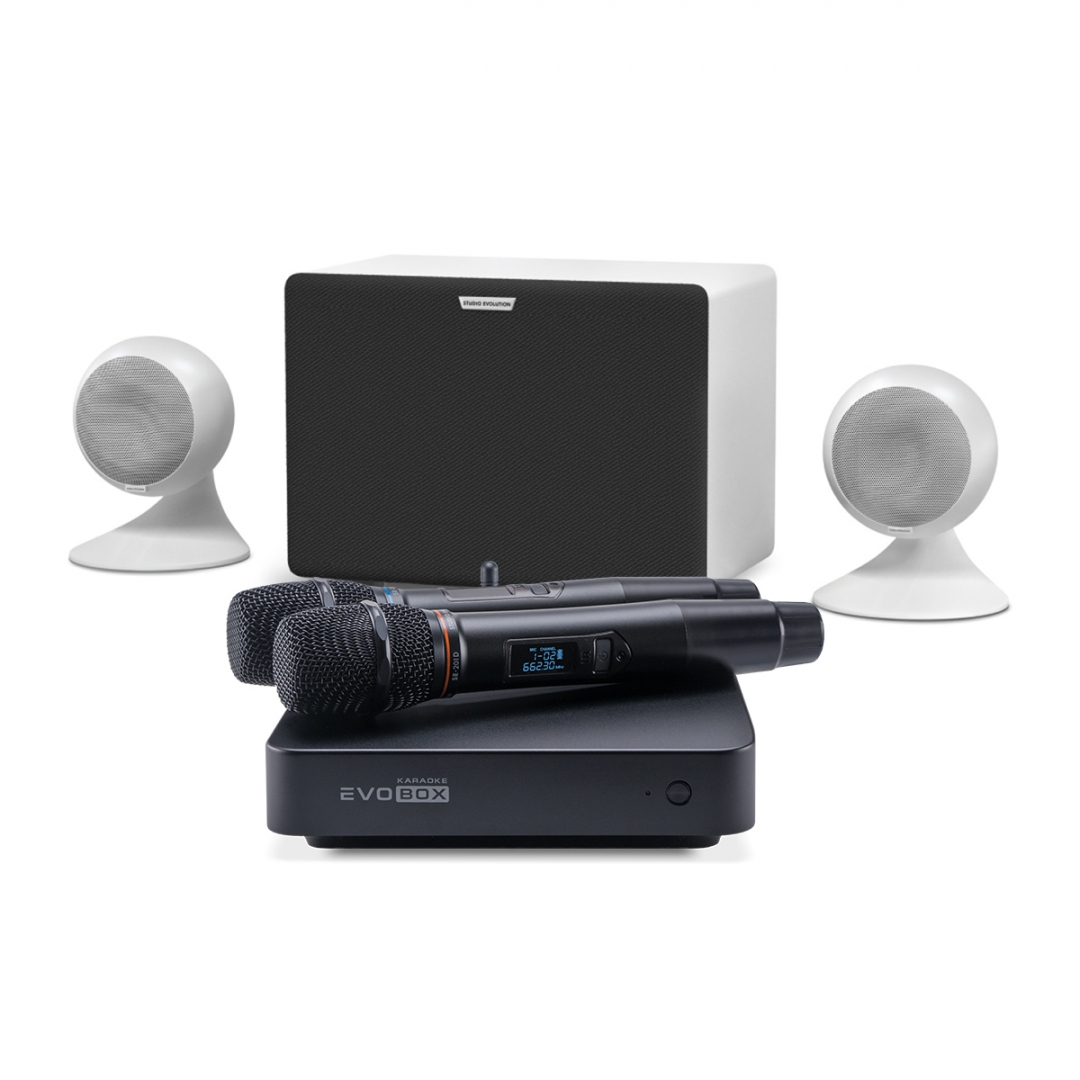 караоке-комплект EVOBOX Classic + EvoSound Sphere 2.1 в Нижневартовске