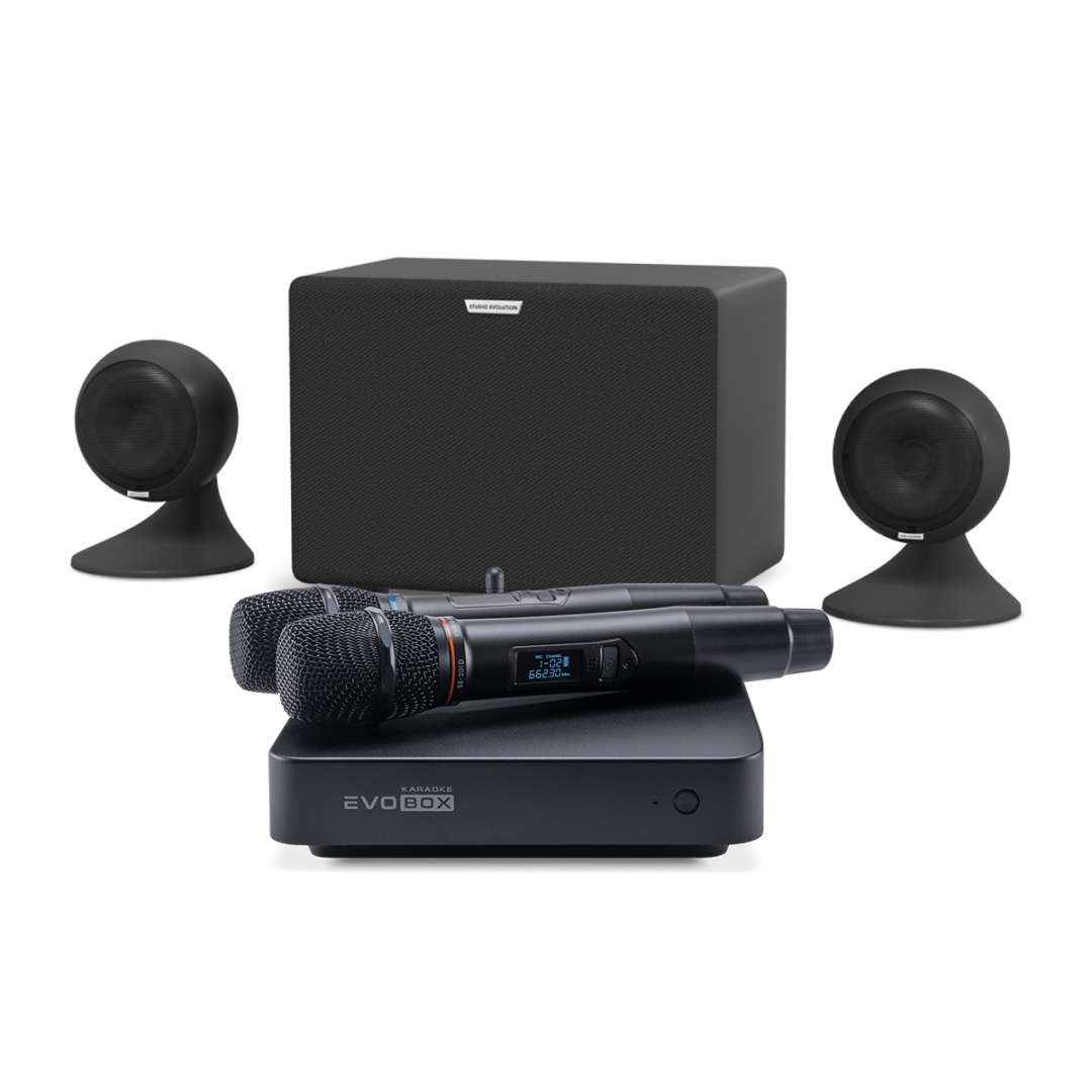 караоке-комплект EVOBOX Plus + EvoSound Sphere 2.1 в Нижневартовске