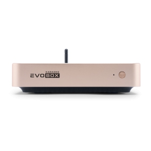 EVOBOX Classic караоке-система для дома в Нижневартовске