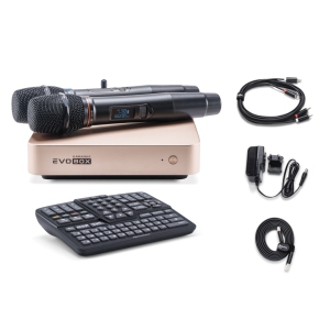 EVOBOX Classic караоке-система для дома в Нижневартовске