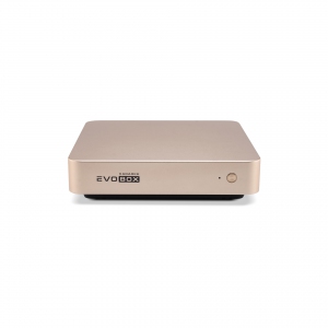 EVOBOX с микрофонами в Нижневартовске